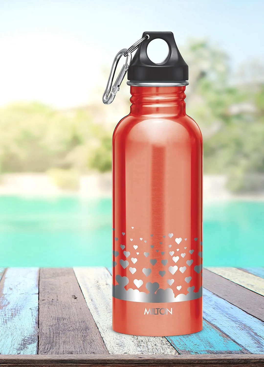 Alive Stainless Steel Bottle (Milton) - CL Sale - Image 5