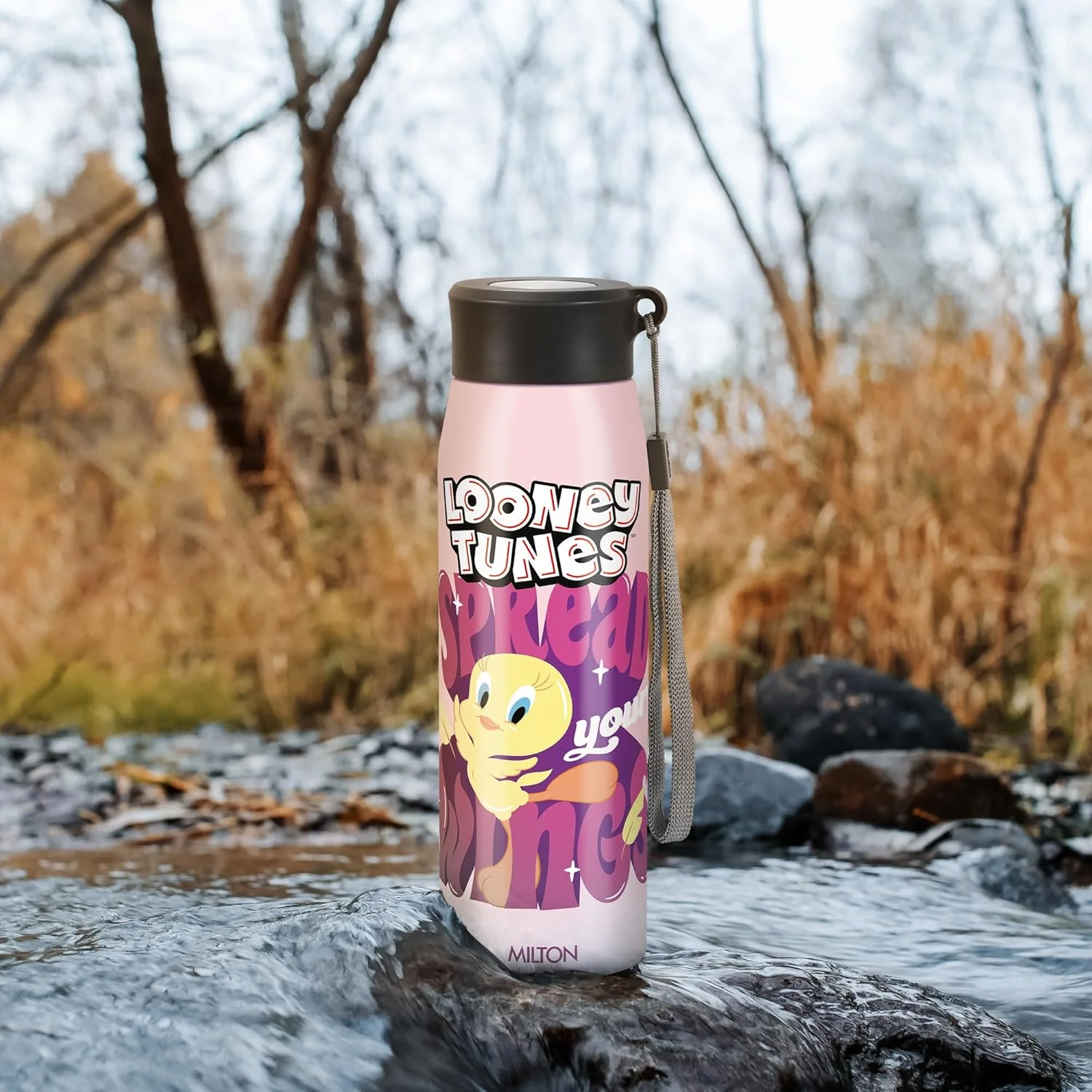 Handy 3D Design Looney Tunes Stainless Steel Bottle (Milton) - CL Sale - Image 7