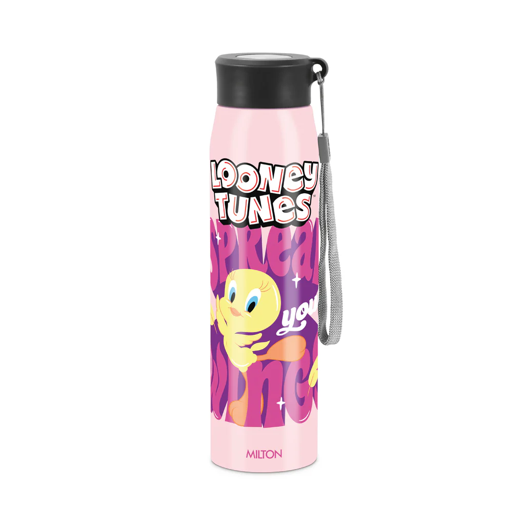 Handy 3D Design Looney Tunes Stainless Steel Bottle (Milton) - CL Sale - Image 9